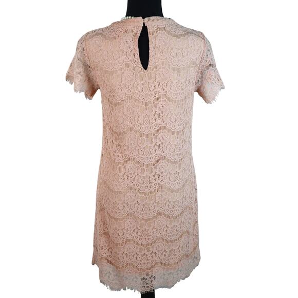 Peach Lace Dress Short Sleeve Scalloped Keyhole Cocktail Special Occasion Small - Picture 5 of 8